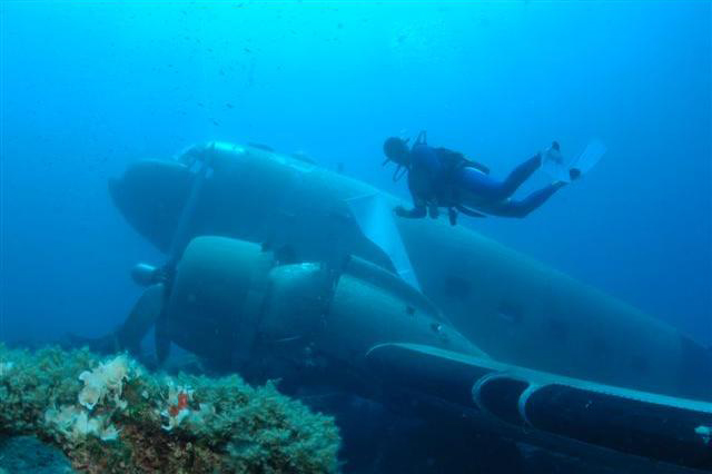 erman dive
